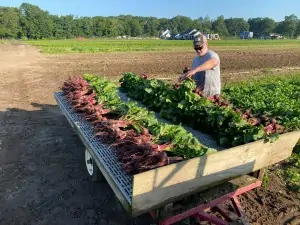 Dr. Time Durham working at a raised bed of plants