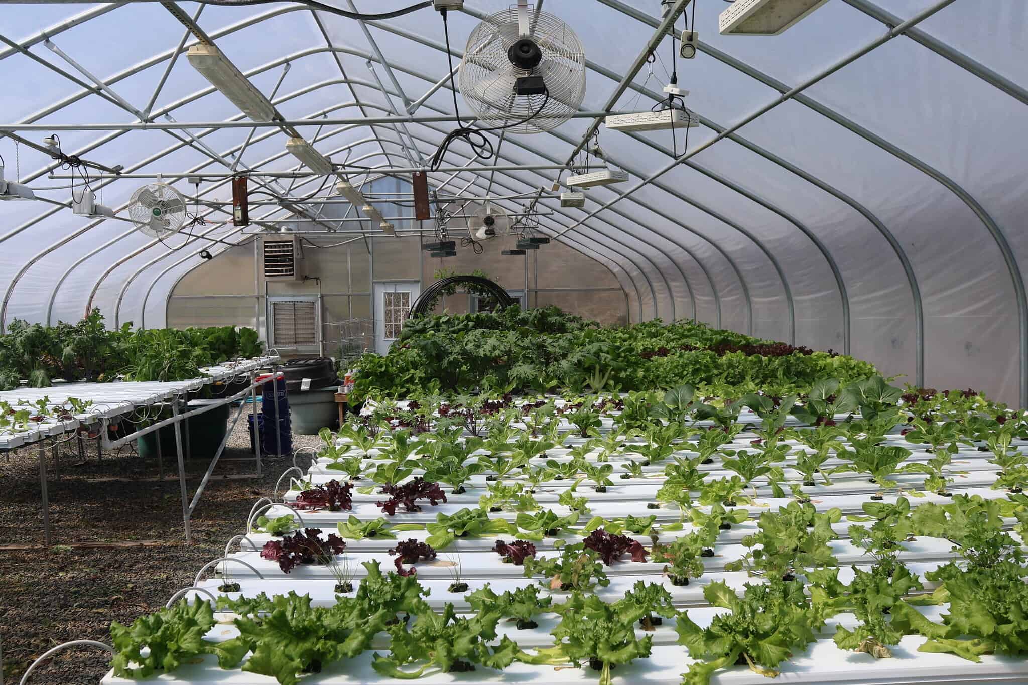 Thumbnail image for the Ferrum College Hosts Agripalooza, Bringing Together Agriculture Leaders, Innovators, and Community Partners on May 7, 2026