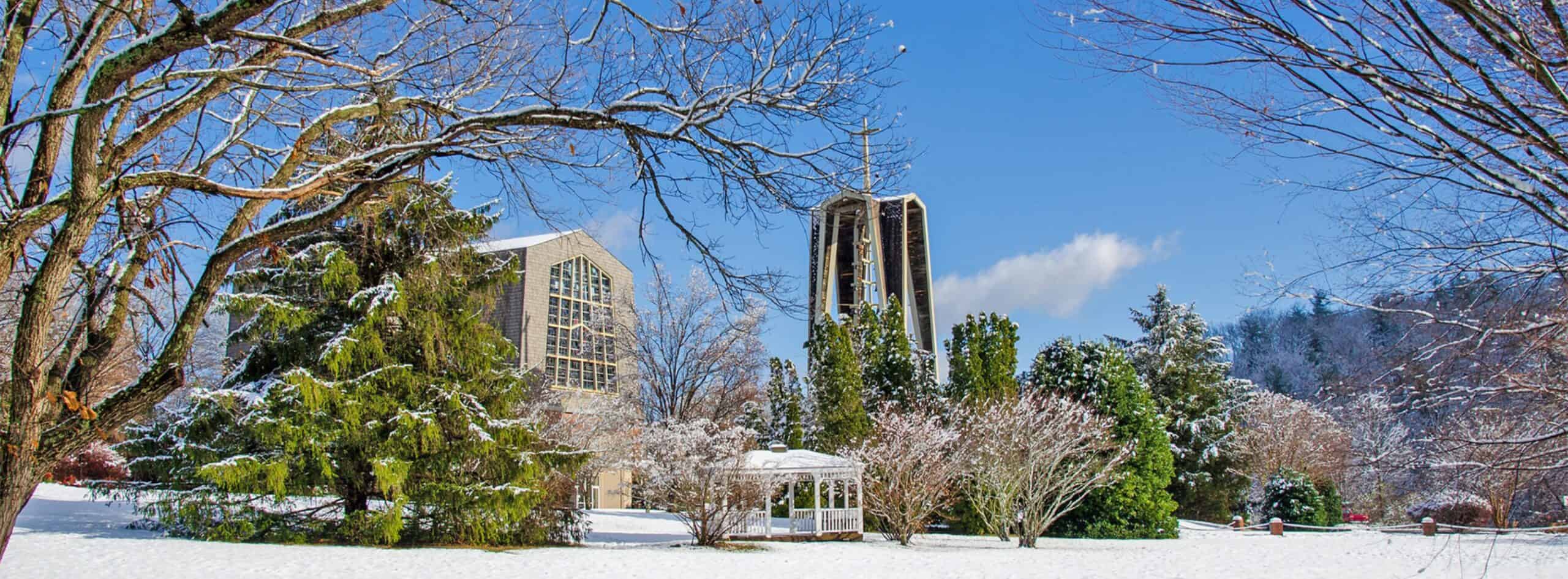Thumbnail image for the Merry Christmas from Ferrum College President Mirta Martin  news item
