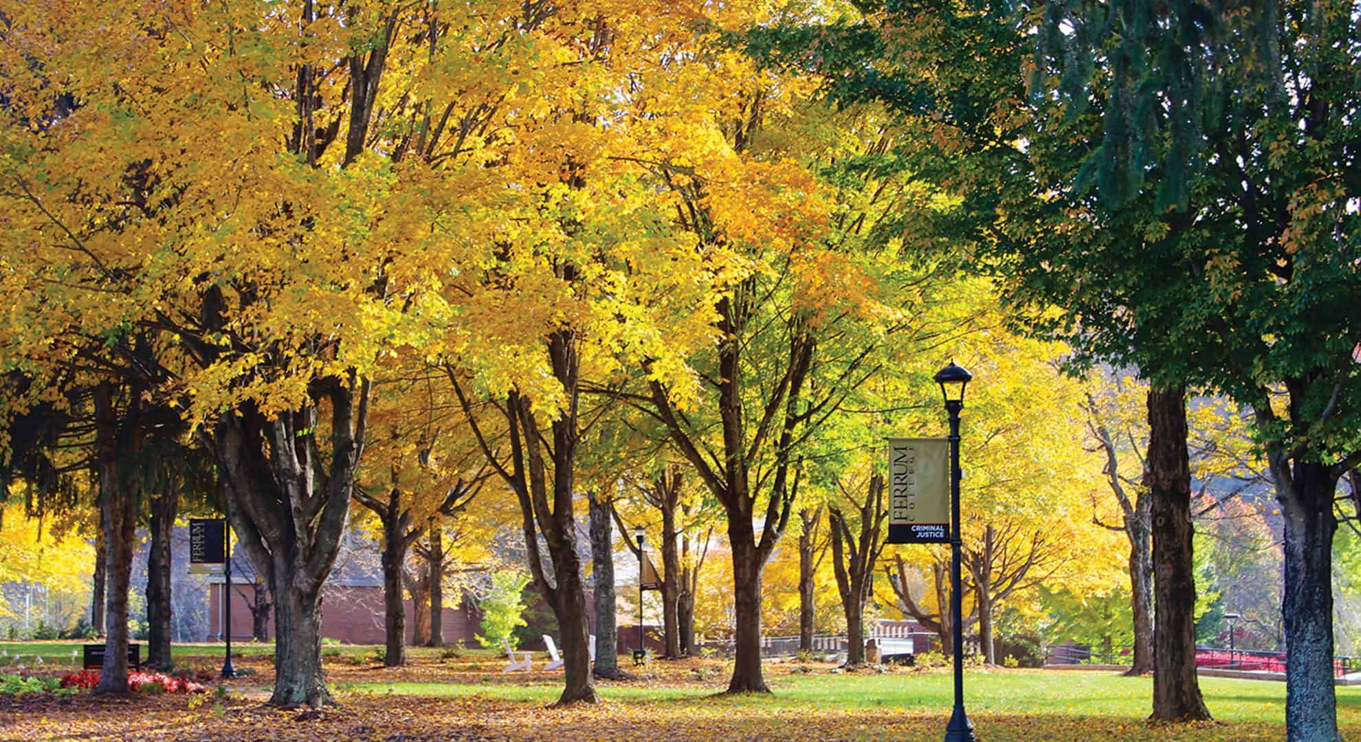 Fall photo of Ferrum College campus