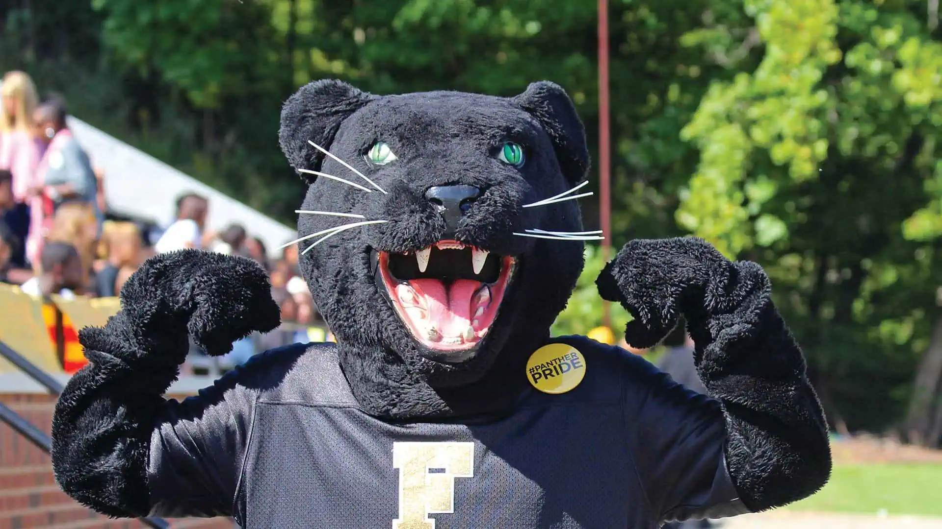 panther flexing muscles on football field